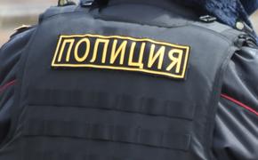 Московская полиция проверяет информацию о нападении на семью в ТиНАО