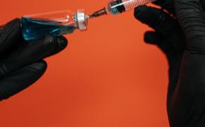 Глава НИЦ Гинцбург: Ускорить вакцинацию  от коронавируса пока нельзя 