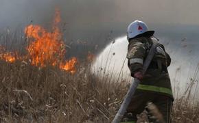 В Ростовской области из-за природного пожара эвакуировали хутор