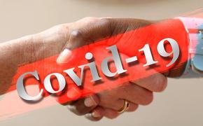 В Ростове-на-Дону введены ограничения из-за новых случаев заражения COVID-19