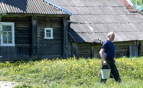 Госдума приняла закон о поддержке садоводов и огородников