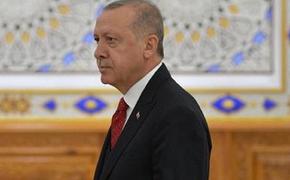 Эрдоган призвал граждан Турции бойкотировать французские товары
