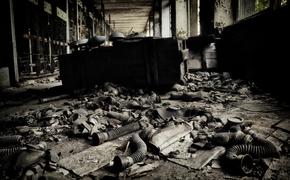 В зоне отчуждения Чернобыльской АЭС задержали грибников 