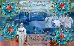 В Новосибирской области из-за пандемии COVID-19 количество вызовов врачей на дом выросло в 5 раз