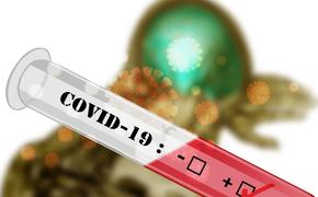 В Германии за сутки впервые выявили более 23 тысяч случаев заражения коронавирусом COVID-19