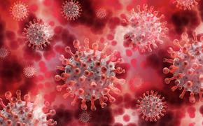 В России за сутки выявлено 20 396 новых случаев заражения коронавирусом