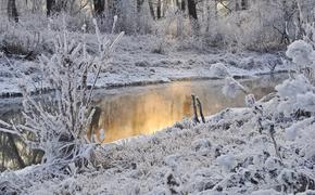 Синоптики предупредили о первых заморозках в Москве и гололедице на дорогах