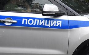 Задержан подозреваемый в убийстве двух женщин и ранении ребенка в Подмосковье