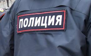 Источник в органах: в Петербурге ссора в родительском чате закончилась массовой дракой