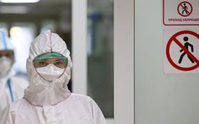 В России выявлено рекордное количество случаев коронавируса за сутки  с начала пандемии 