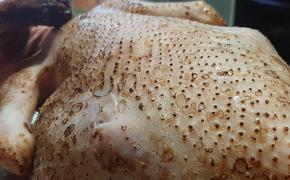 В Сингапуре вырастили в лаборатории куриное мясо