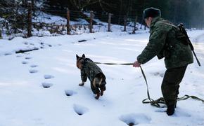 На российско-украинской границе произошло боестолкновение 
