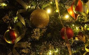Специалисты МЧС рассказали, как украшать новогоднюю елку, чтобы избежать пожара