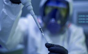 В России выявлено 28 585 новых случаев коронавируса, больше 600 умерших 