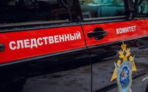 Следователи устанавливают все обстоятельства инцидента в магазине в Новосибирске, после которого ребенок попал в реанимацию