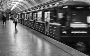 Человек упал на пути «зеленой ветки» московского метро