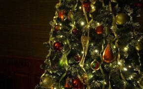 С 1 января в РФ вступят в силу новые требования к установке новогодней елки