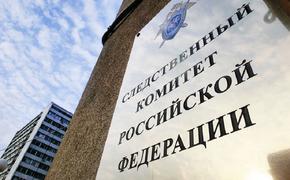 Следком установит причины гибели пенсионерки возле одной из школ в Ростове-на-Дону