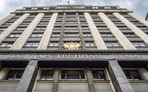 Депутат Госдумы Панина оценила планы команды Байдена по новым антироссийским санкциям