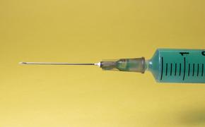 В Сирии рассчитывают на поставки российской вакцины «Спутник V»