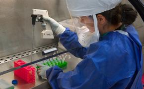 Эпидемиолог Фаворов оценил опасность новой мутации коронавируса
