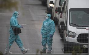 В России за сутки скончались 493 пациента с коронавирусом