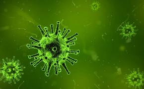 В Японии начали заражаться британским штаммом коронавируса