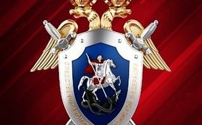 В Нижнем Тагиле девочка погибла во время катания с горки на санках
