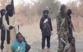 Исламисты в Нигере атаковали две деревни и убили около 100 человек