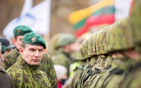 ВС Литвы возведут три новых военных городка для своих войск и союзников по НАТО