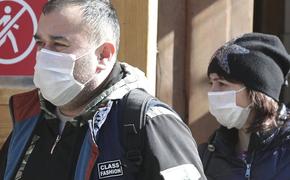 Жителям Словакии запретили покидать дома без отрицательного теста на коронавирус