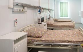 В России за сутки скончались 497 пациентов с COVID-19