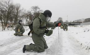 Саперы ЮВО обезвредили 1,5 тыс. взрывоопасных предметов за первые месяцы нового года