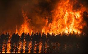 Почему человечество не может эффективно бороться с крупными природными пожарами 