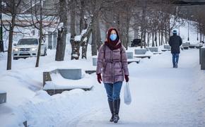 В России выявили 11 022 новых случая заражения коронавирусом
