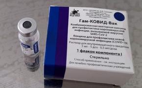 Российскую вакцину «Спутник V» будут поставлять в Ирак