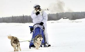Российские морпехи осваивают езду на собаках и оленях 