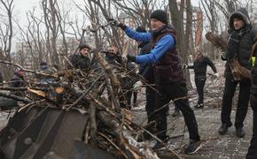 Власти Владивостока за четыре месяца после ледяного дождя не смогли вывезти с улиц бурелом