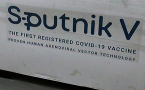 Гинцбург оценил ситуацию с выявленной в Мексике партией поддельного «Спутника V»