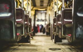 Госдума ввела штрафы до 30 тысяч рублей за высадку из транспорта детей-безбилетников
