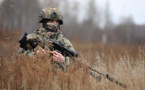 Экс-полковник Баранец: переброска войск России к границам с Украиной вызвала «вселенскую панику» в НАТО 