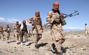На границе с Афганистаном приведены в состояние повышенной готовности войска Ирана