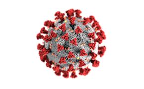 В ближайшие 4 месяца в мире появится 20 мутаций коронавируса