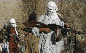 Талибы расстреляли афганских спецназовцев на границе с Туркменией