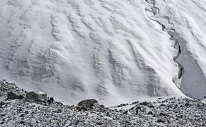 В тающих ледниках Тибета учёным из США удалось обнаружить неизвестные науке древние вирусы