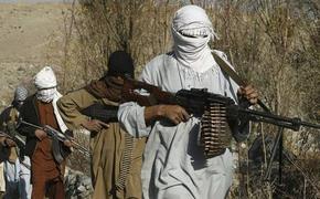 Талибы* просят признания: Средняя Азия в тревожном ожидании