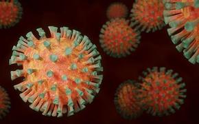 Ученые Барретт и Баллу предупредили об опасной мутации штамма коронавируса «дельта»