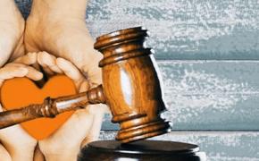 Как знаменитости проводят аукционы в поддержку больных детей