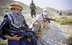 Талибы считают, что крах прошлого государства нанес ущерб Афганистану