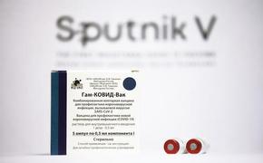 Гинцбург заявил, что вакцина «Спутник V» эффективна против новой мутации COVID-19
